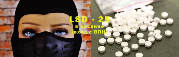 ECSTASY Алзамай