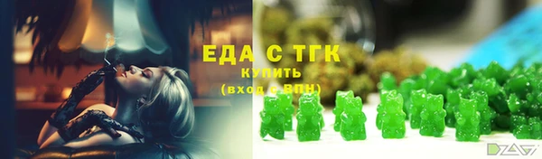 ECSTASY Алзамай