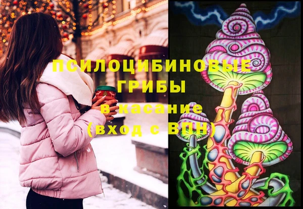 ECSTASY Алзамай