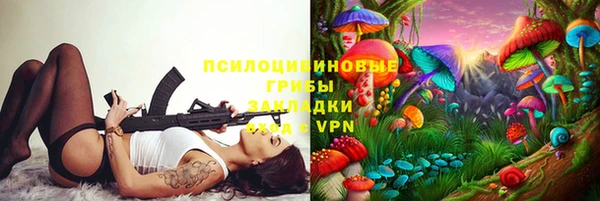 ECSTASY Алзамай