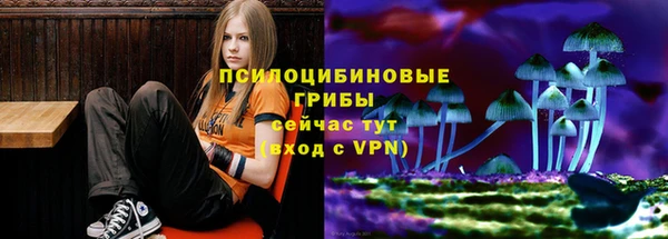 прущие грибы Покачи
